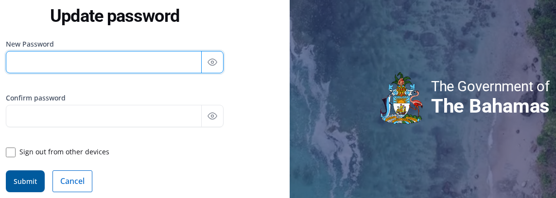 Update password page with blank New Password and Confirm password fields and Submit and Cancel controls
